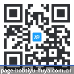 iPadOS & iOS 版 二维码(bob)